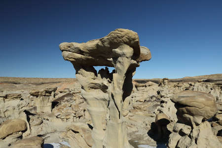 Strange Rock Formation in Bisti Badlands (Alien Throne) New Mexico USA