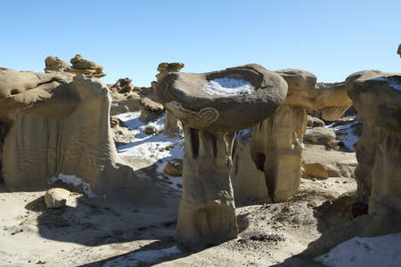 Strange Rock Formation in Bisti Badlands Valley of Dreams New Mexico USA