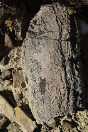 De-na-zin wilderness area, Bisti badlands,  New Mexico 