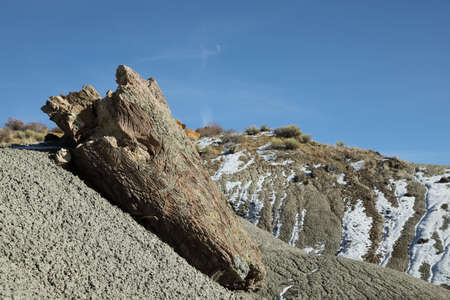 De-na-zin wilderness area, Bisti badlands,  New Mexico 
