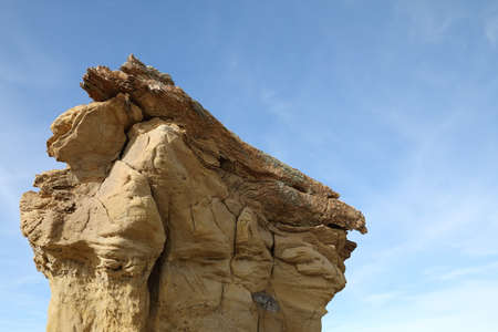 De-na-zin wilderness area-petrified wood Hoodoo , Bisti badlands,  New Mexico 