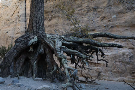 Kasha-Katuwe Tent Rocks National Monument New Mexicoの写真素材