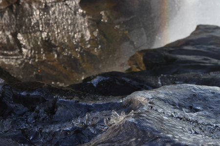 Midfoss Frost Flowers in Autumn Icelandの写真素材