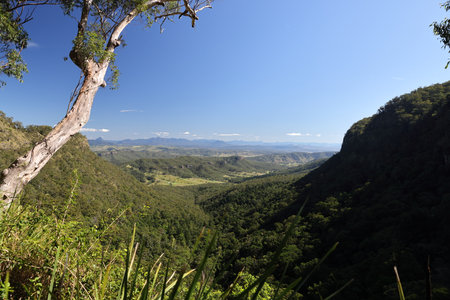 Moonlight Crag Lookout Lamington National Park Queensland, Australia