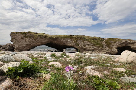 Natural rock arch of Arches Provincial Park at Portland Creek on the coast of Newfoundland's Northern Peninsulaの写真素材