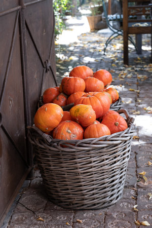 autumn decorative pumpkins. Thanksgiving or Halloween holiday harvest concept.の写真素材