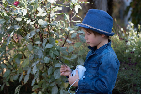 Little boy taking photo in Autumn season.の写真素材