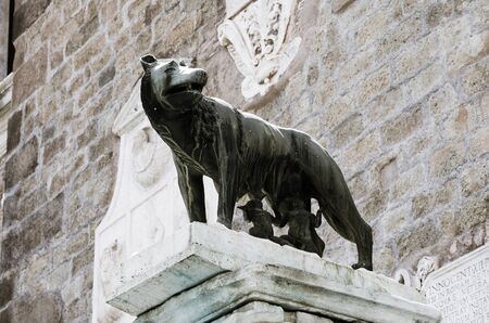 Romulus and Remo, Rome, Italyのeditorial素材