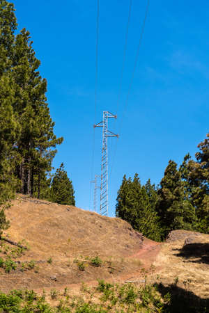 Electricity pylon in the forest, Gran Canariaの写真素材
