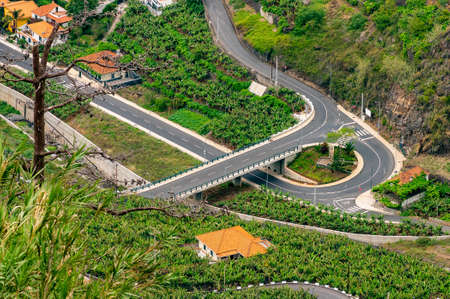 Banana plantations next to the road on Madeira, Portugalの写真素材