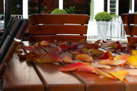 Autumn leaves on a wooden table in an outdoor restaurantの写真素材