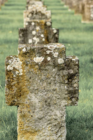 Gravestones in a row on a cemetery, colors slightly desaturated