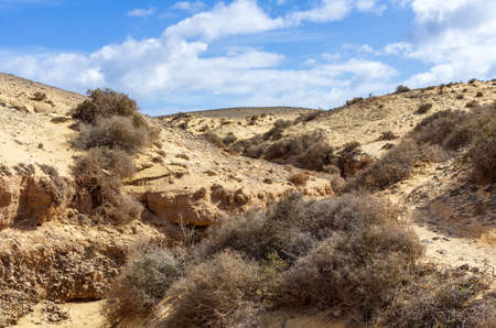 Desert on Lanzarote, Canary islands, Spainの写真素材
