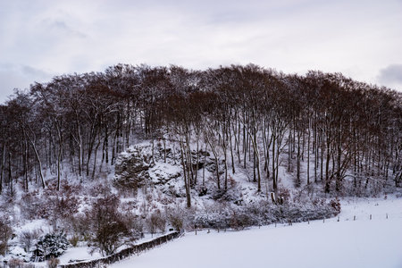 Big rock in winter forest, Brilon, Germanyの写真素材