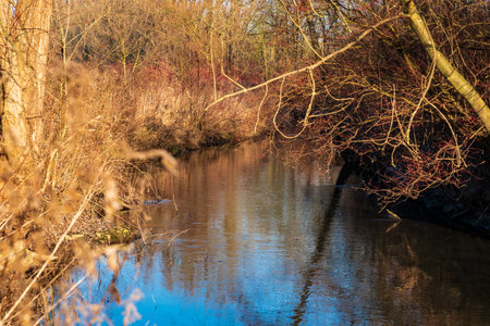 Little river in the morning sun, Bochum, Germanyの写真素材