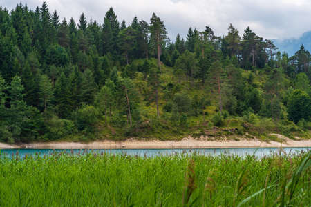 View over grass to the banks of the Urisee near Reutte, Tirol, Austriaの写真素材