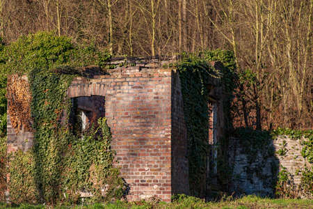 Ruin of a house overgrown with ivyの写真素材