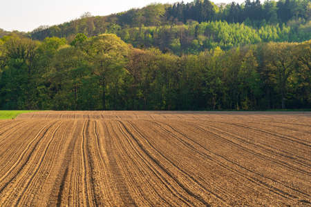 Fresh harrowed field in spring, forest in background, Essen, Germanyの写真素材