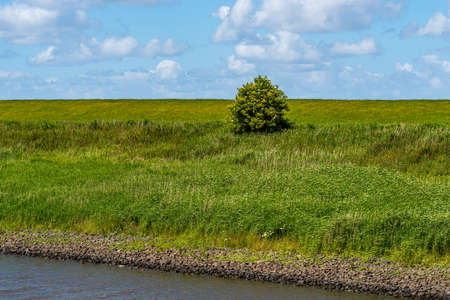 Scenic marsh landscape with a single tree in Lower Saxony, North Germany showing a sewer near Greetsielの写真素材
