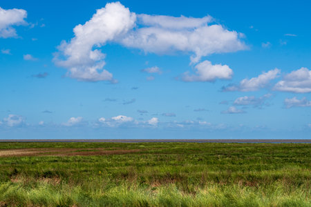 View over the marshland to the north sea, wonderful blue sky with white clouds, near Greetsiel,...