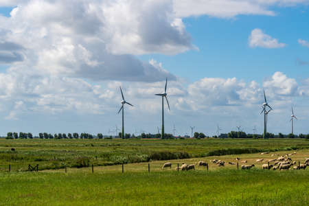 Five wind turbines for energy generation in green meadows, sheep graze in front of it. Blue sky with white clouds. Near Pilsum, Friesland, Germanyの写真素材