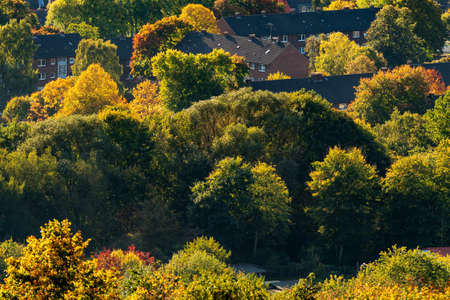 Beautiful view over autumn colored trees of a housing development in the Ruhr areaの写真素材