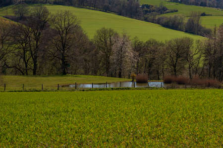 Idyllic view over meadows, trees and pond in the south of Essen, Ruhr areaの写真素材