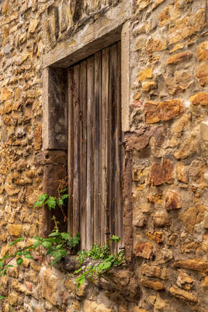Old house with a nailed up window from which green plants grow
