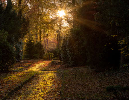 Walk across a cemetery against the setting sun in November, Concept of Hope and sorrowの写真素材