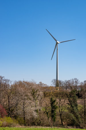 Wind turbine against blue sky, blooming wild cherry tree and fields in foregroundの写真素材