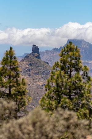 View through the pine trees on the right and left of the picture to Roque Bentayga in the mountains of Gran Canaria.の写真素材