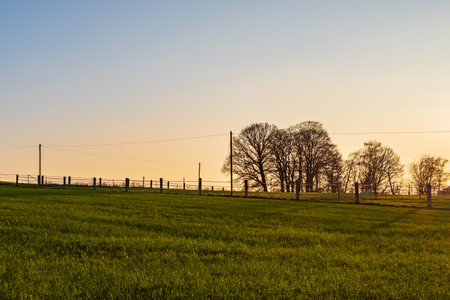 View over meadows and fields in the evening sunlightの写真素材