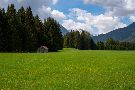View of mountain peaks over lush green meadows and forests with a shed on a sunny day with blue sky and white cloudsの写真素材