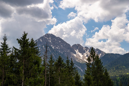 View over green fir trees to Thaneller mountain with white clouds and blue skyの写真素材