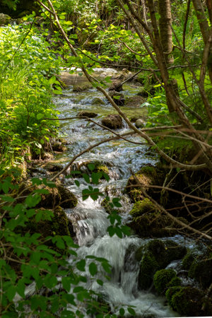 Small creek in the mountainsの写真素材