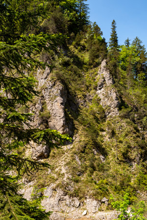 View of the steep slopes of the Archbach Gorgeの写真素材