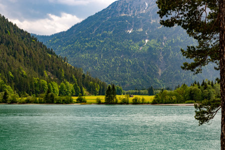 Fantastic view across the Heterwanger See to a meadow with a hut on the other side of the shore. In the foreground on the right side, the branches of a pine tree can be seenの写真素材