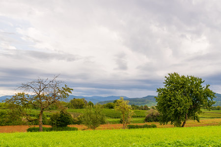 View over meadows and vineyards just before a rain shower, Heitersheim, Breisgau, Germanyの写真素材