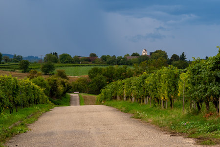 View over vineyards and meadows before a thunderstorm, white tower in the backgroundの写真素材