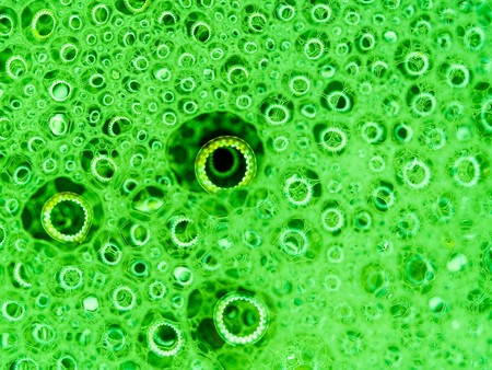 Soap bubbles with reflections macro with green colored backgroundの写真素材