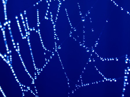 Bluetone Spider Web Abstract with Sparkling Dew Drops Selective Focusの写真素材