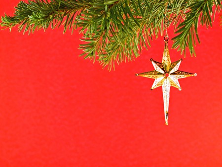Christmas Tree Holiday Ornament Hanging from a Evergreen Branchの写真素材