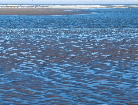 Ocean Ripples in Shallow Water with Waves in the Background