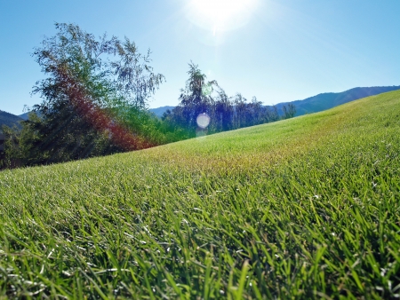 A Grassy Hill with Mountains in the Backgroundの写真素材