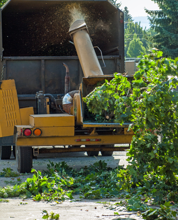 Wood Chipper Shredding a Tree into a Truckの写真素材