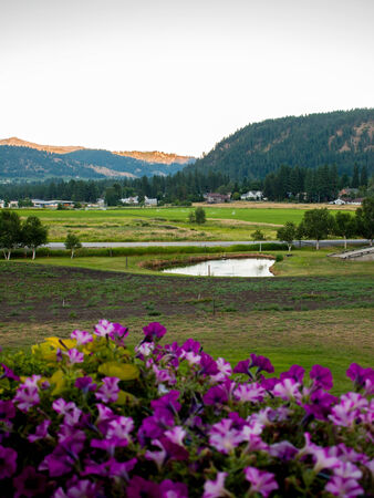 A Mountain Country View with Flowers in the Foregroundの写真素材