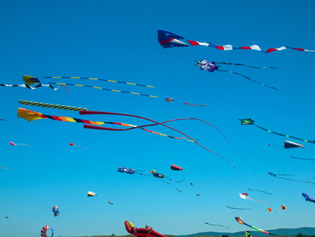 Kites Flying in Cloudless Sky at the Long Beach Kite Festival Washington USAの写真素材