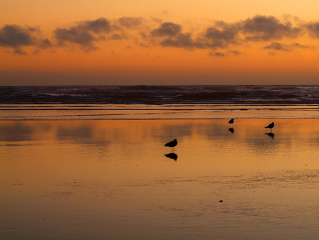 Beautiful Sunset at the Ocean