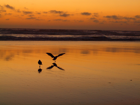 Beautiful Sunset at the Oceanの写真素材