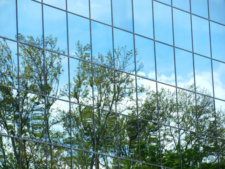 Trees reflected in windows of modern office buildingの写真素材